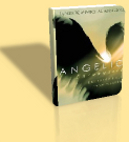 angelic encounters from mary malone